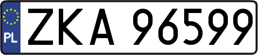 ZKA96599