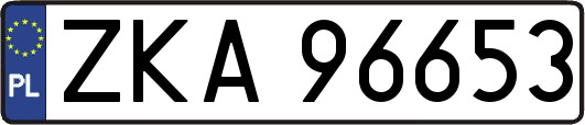 ZKA96653