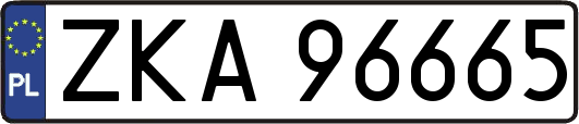 ZKA96665