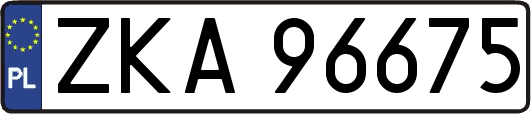 ZKA96675