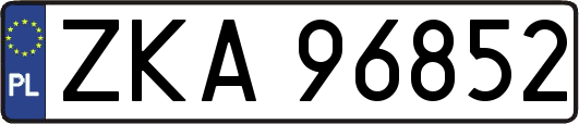 ZKA96852