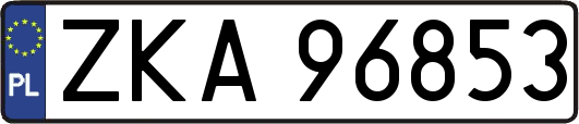 ZKA96853