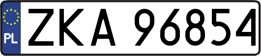 ZKA96854