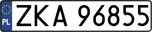 ZKA96855