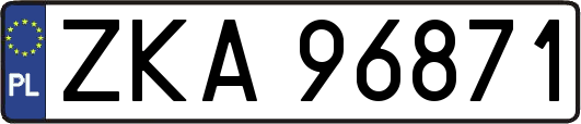 ZKA96871