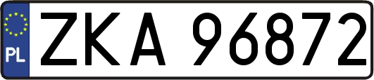 ZKA96872