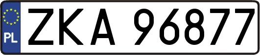 ZKA96877