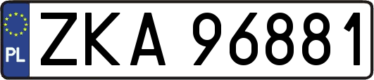 ZKA96881