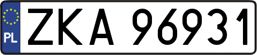 ZKA96931