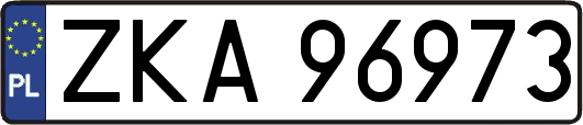 ZKA96973