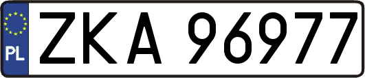ZKA96977