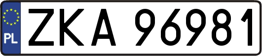 ZKA96981