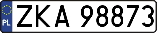 ZKA98873