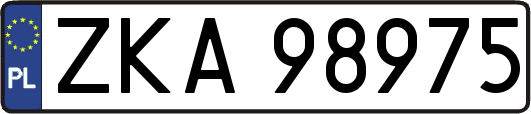 ZKA98975