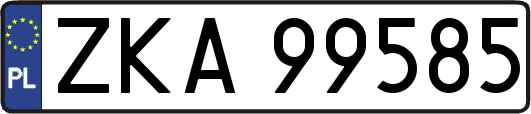 ZKA99585