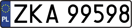 ZKA99598