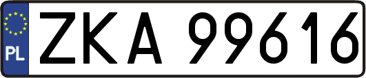 ZKA99616