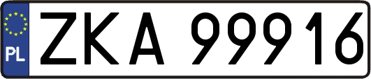 ZKA99916
