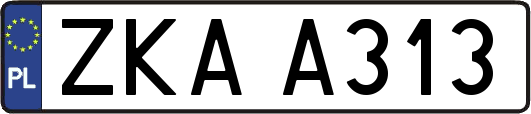 ZKAA313