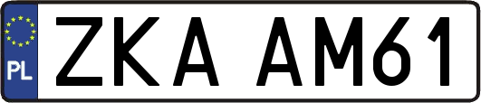 ZKAAM61