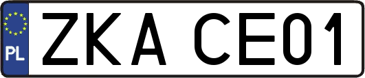 ZKACE01