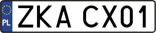 ZKACX01