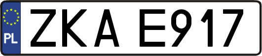 ZKAE917