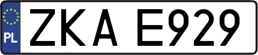 ZKAE929