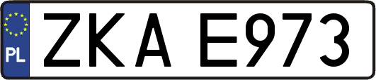 ZKAE973