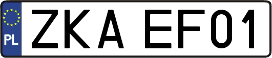 ZKAEF01