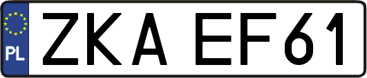 ZKAEF61