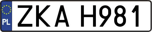 ZKAH981
