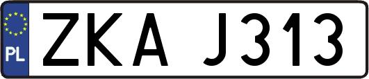 ZKAJ313