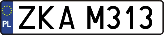 ZKAM313