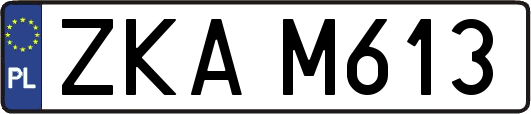 ZKAM613