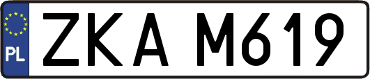 ZKAM619