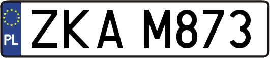 ZKAM873