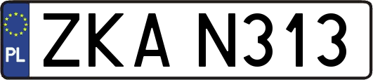 ZKAN313