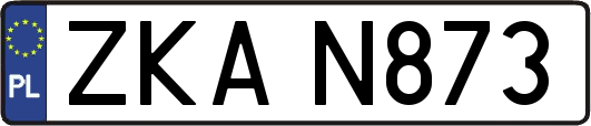 ZKAN873