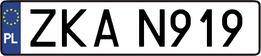 ZKAN919