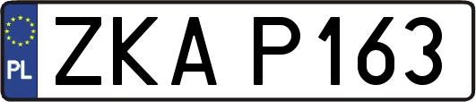 ZKAP163