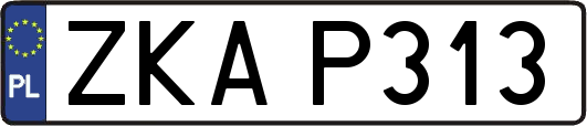 ZKAP313