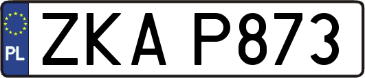 ZKAP873