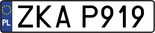 ZKAP919
