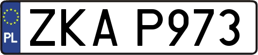 ZKAP973