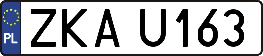 ZKAU163