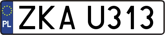 ZKAU313