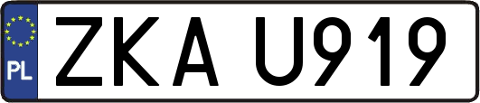 ZKAU919