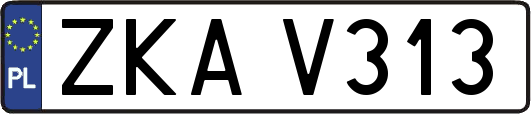 ZKAV313