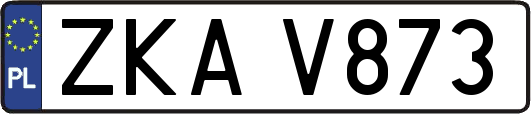 ZKAV873